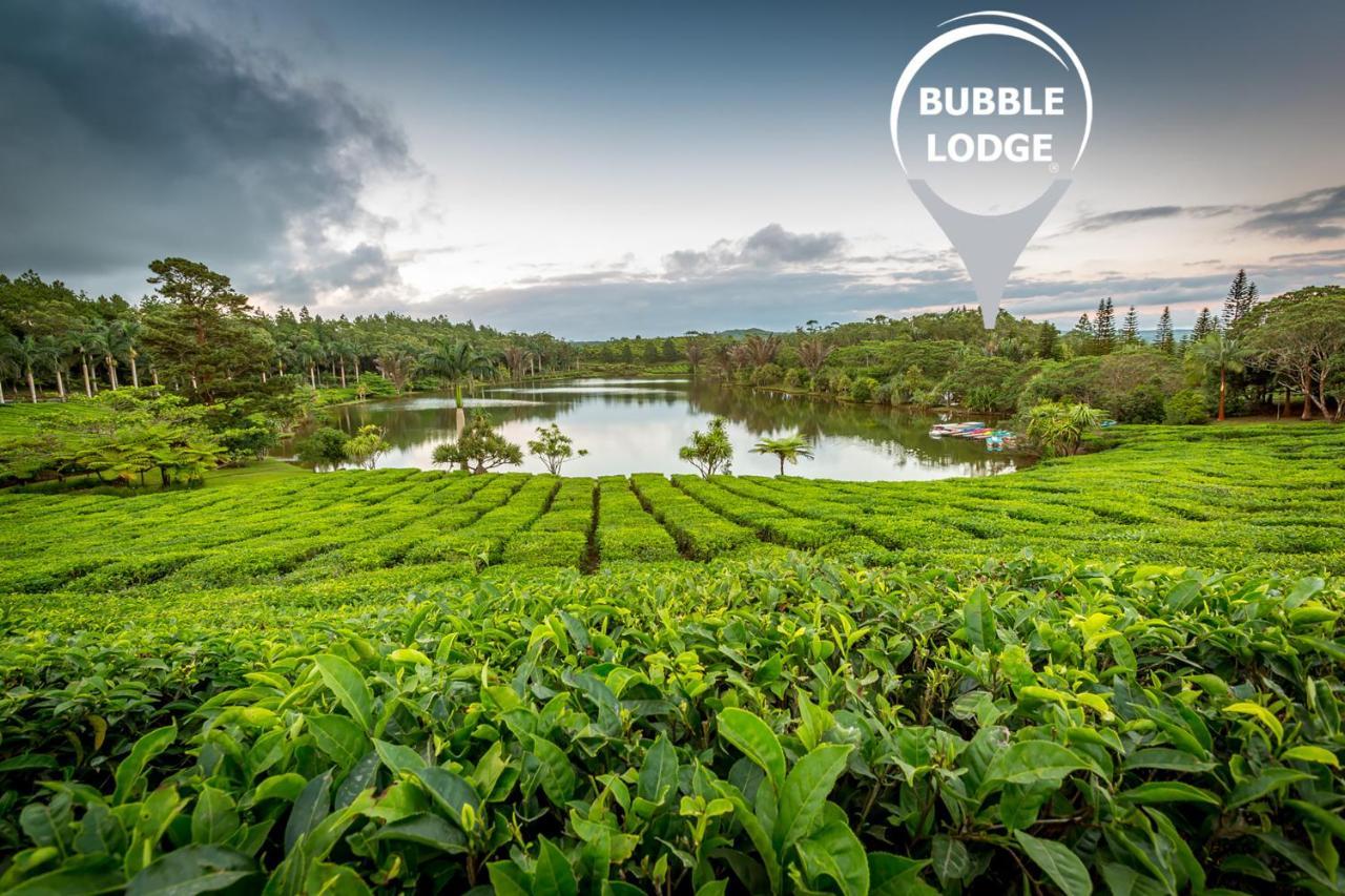 Bubble Lodge Bois Cheri Plantation Zewnętrze zdjęcie