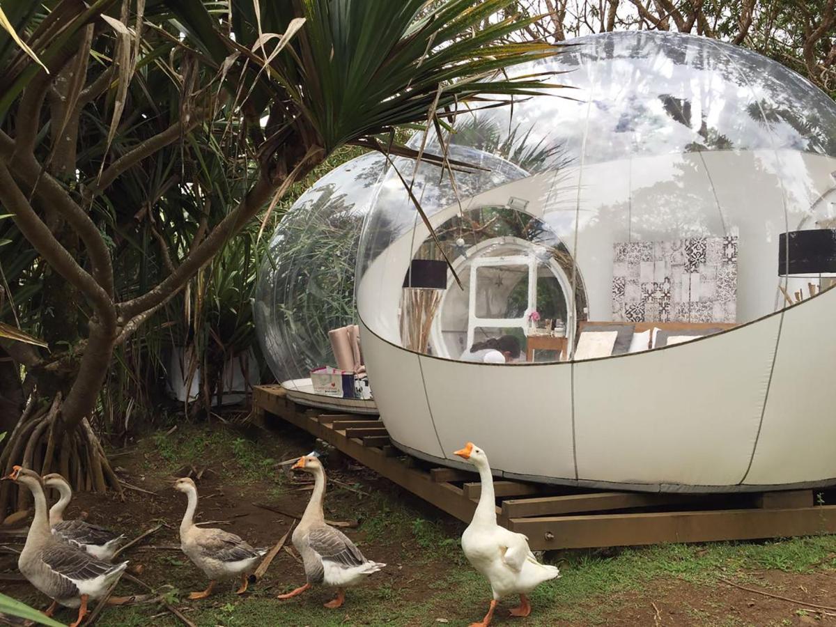 Bubble Lodge Bois Cheri Plantation Zewnętrze zdjęcie