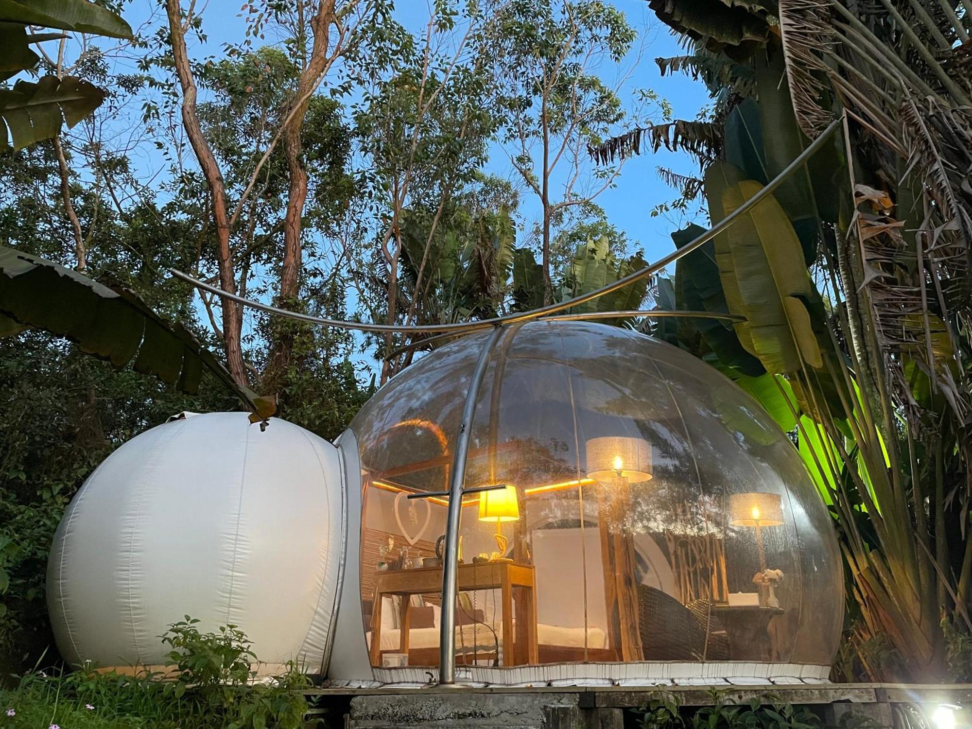 Bubble Lodge Bois Cheri Plantation Zewnętrze zdjęcie