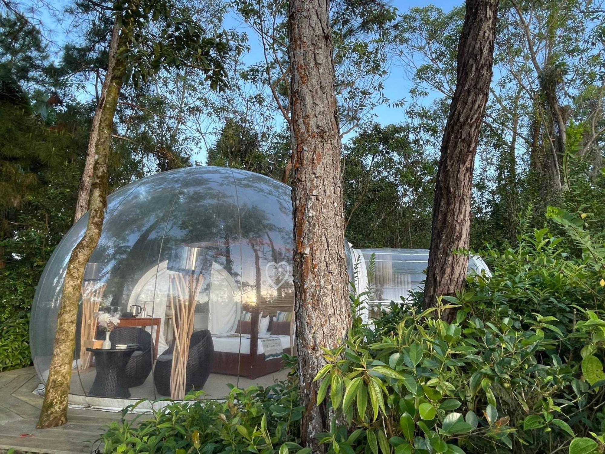 Bubble Lodge Bois Cheri Plantation Zewnętrze zdjęcie